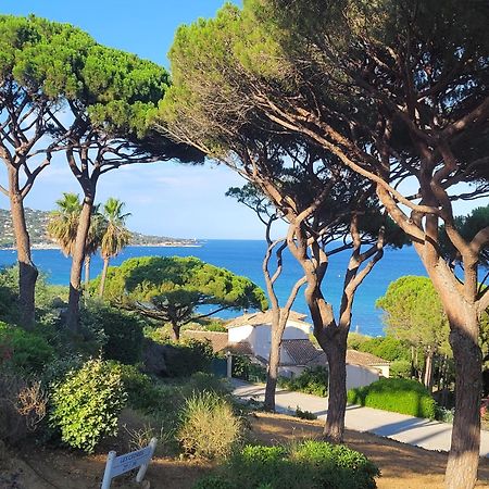 Appartement Vue Mer 200 M Des Plages - Djumbo 생트막시메 외부 사진