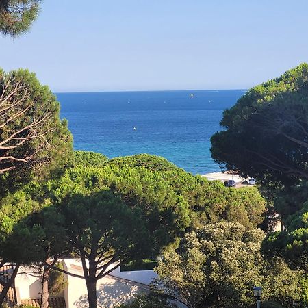 Appartement Vue Mer 200 M Des Plages - Djumbo 생트막시메 외부 사진