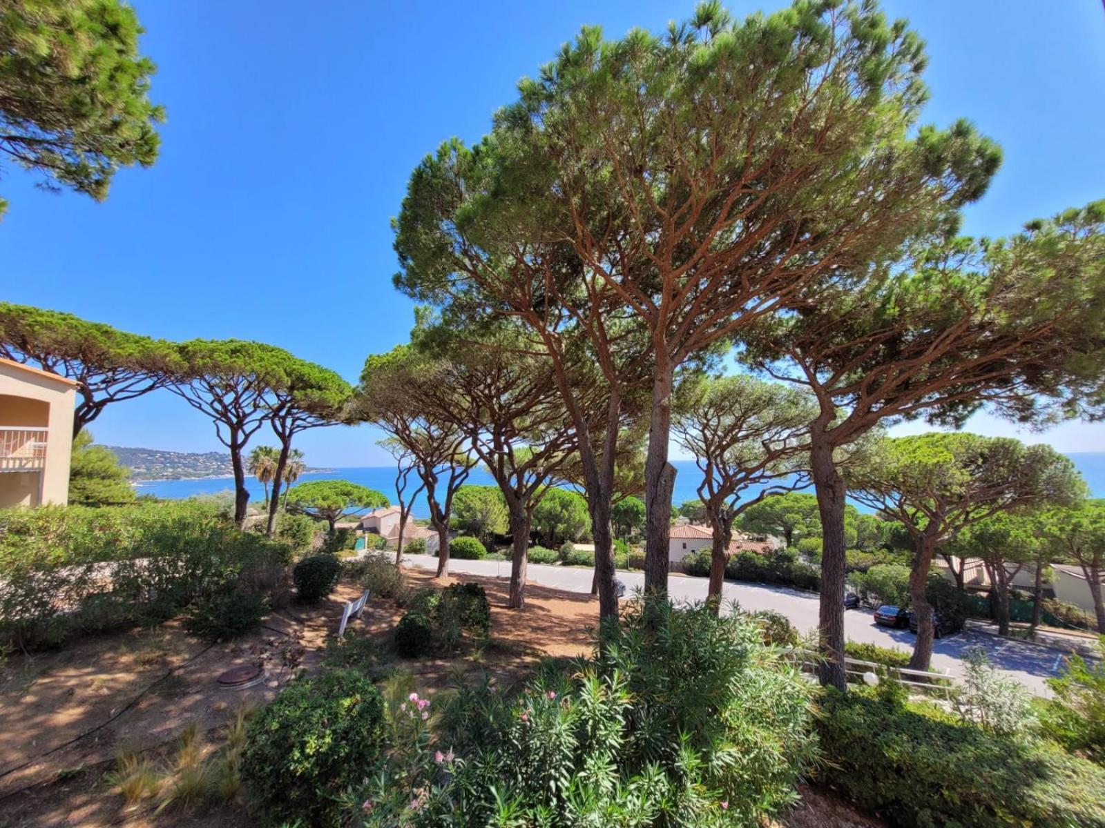 Appartement Vue Mer 200 M Des Plages - Djumbo 생트막시메 외부 사진