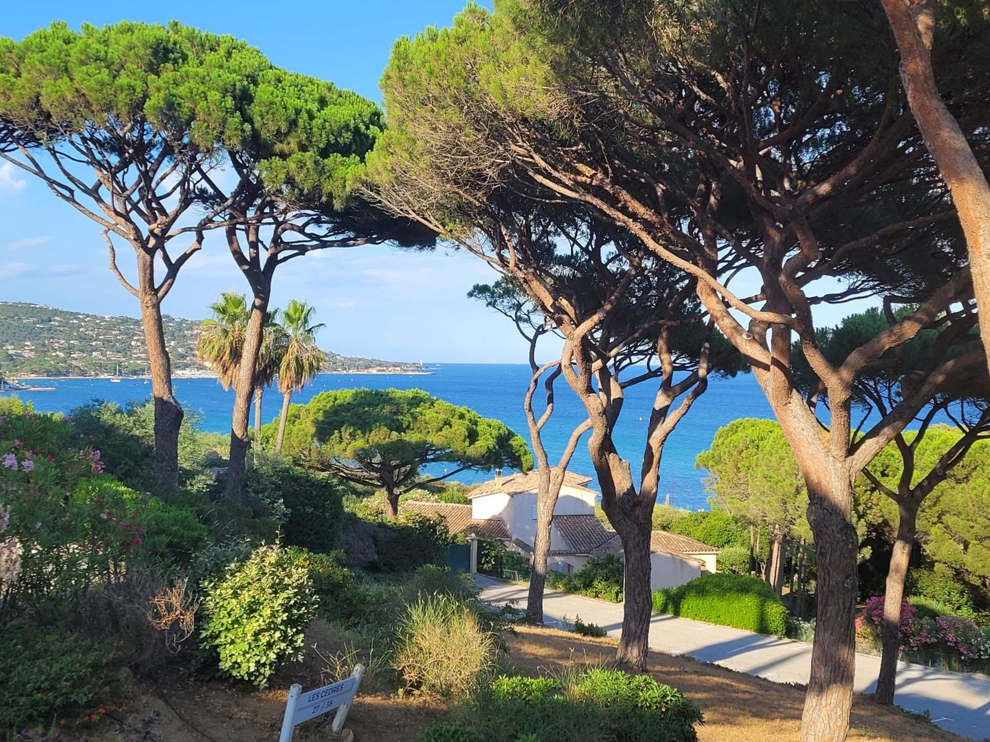 Appartement Vue Mer 200 M Des Plages - Djumbo 생트막시메 외부 사진