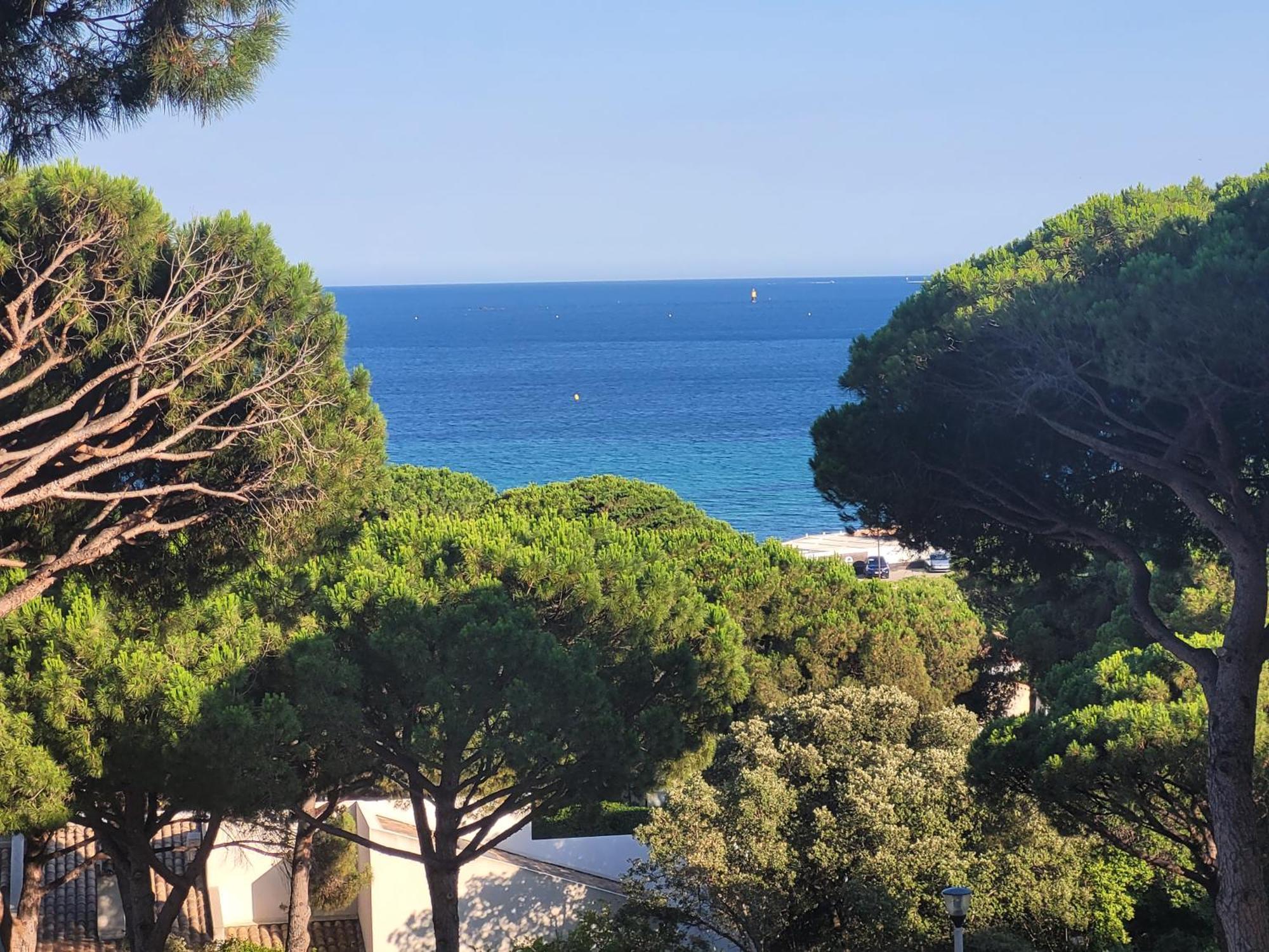 Appartement Vue Mer 200 M Des Plages - Djumbo 생트막시메 외부 사진